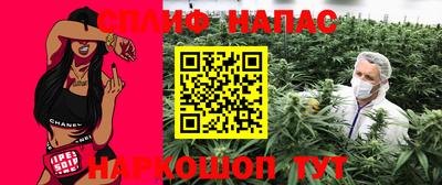 стафф Будённовск