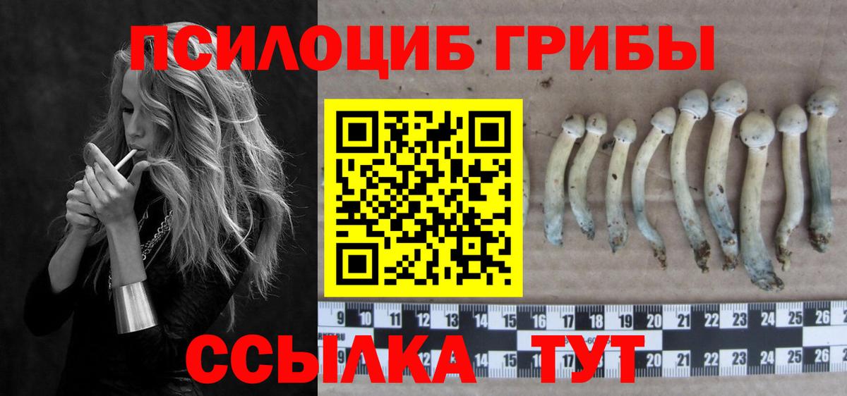 Чехов  Галлюциногенные грибы GOLDEN TEACHER  Вход с VPN  Галлюциногенные грибы Psilocybine cubensis 